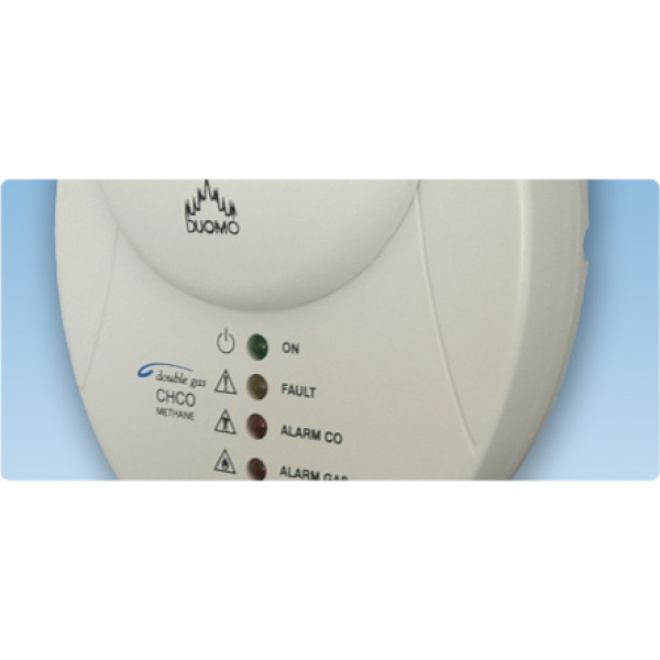 Altec 169 Mhz Combined Gas & Carbon Monoxide Detector