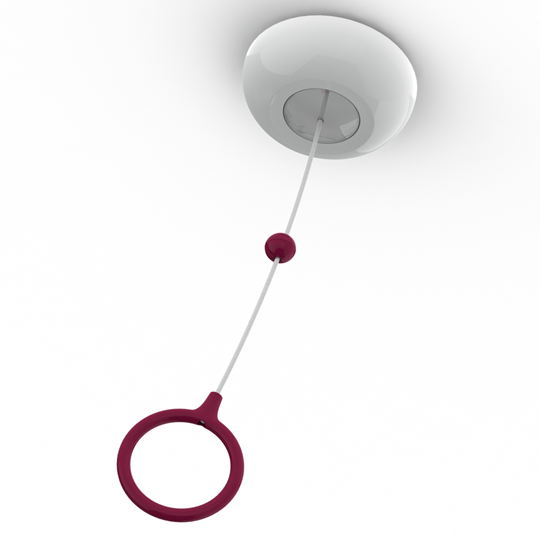 Intercall Touch Series Bathroom Pull Cord Saturn Sales & Services Ltd